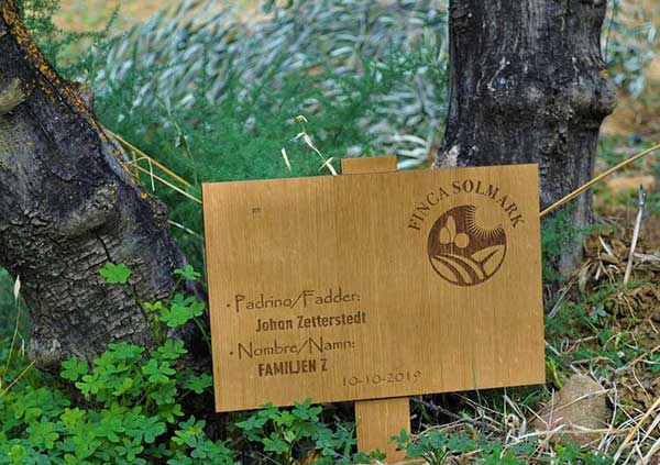 finca solmark apadrina un olivo placa madera