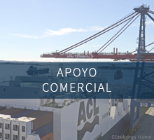 Modulos lateral 220x200 Apoyo Comercial